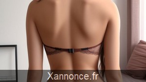 plan cul Vouneuil-sous-Biard 